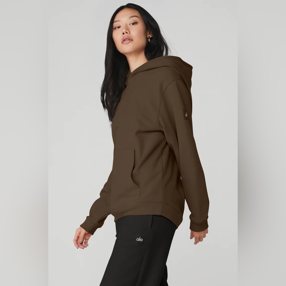 NEW ALO Yoga Renown Heavy Weight  Hoodie in Espresso Brown | size M - Picture 3 of 8